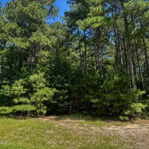 Photo #3 of 732 Batts Island, Edenton, NC 2.0 acres