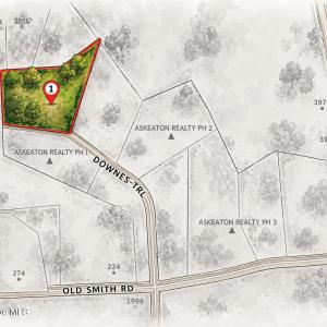 Photo #1 of 50 Downes, Selma, NC 3.9 acres