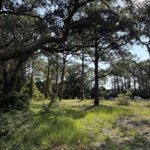 Photo #1 of 308 Fodale, Southport, NC 0.3 acres