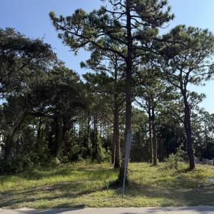 Photo #2 of 308 Fodale, Southport, NC 0.3 acres