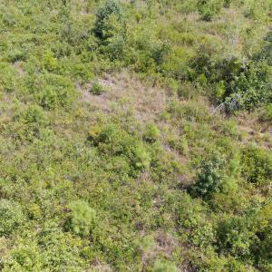 Photo #8 of Tbd Sarah Peterson, Council, NC 62.1 acres