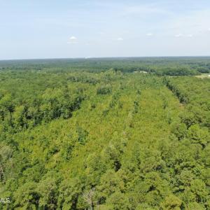 Photo #7 of Tbd Sarah Peterson, Council, NC 62.1 acres