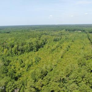 Photo #6 of Tbd Sarah Peterson, Council, NC 62.1 acres