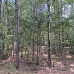 Photo #1 of 136 Cooper Drive, McCormick, SC 0.3 acres