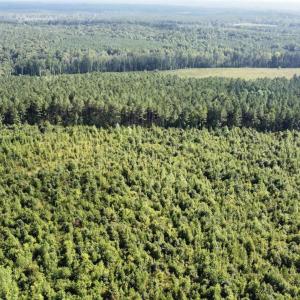 Photo #1 of Richardson, Warrenton, NC 49.3 acres