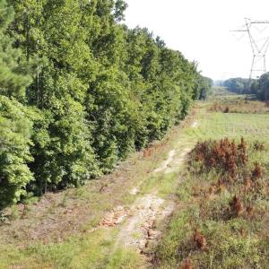 Photo #9 of Richardson, Warrenton, NC 49.3 acres