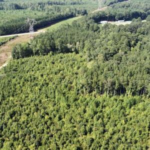 Photo #2 of Richardson, Warrenton, NC 49.3 acres