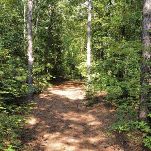 Photo #10 of Richardson, Warrenton, NC 49.3 acres