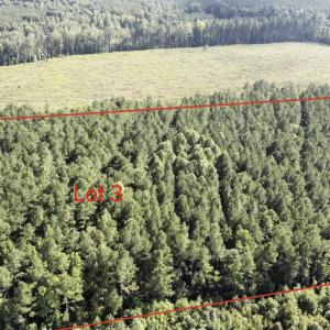 Photo #7 of Richardson, Warrenton, NC 49.3 acres