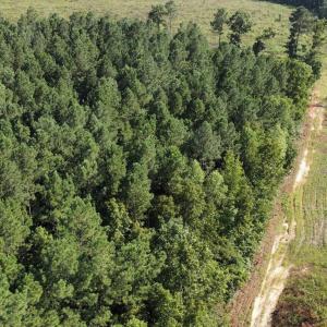 Photo #6 of Richardson, Warrenton, NC 49.3 acres
