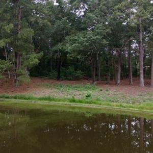 Photo #13 of 500 Glover, Warrenville, SC 11.4 acres