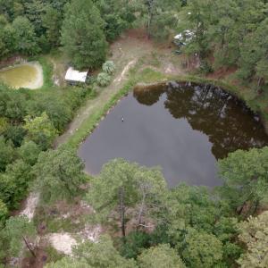 Photo #6 of 500 Glover, Warrenville, SC 11.4 acres