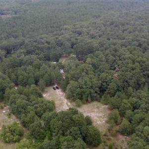 Photo #5 of 500 Glover, Warrenville, SC 11.4 acres