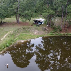 Photo #8 of 500 Glover, Warrenville, SC 11.4 acres