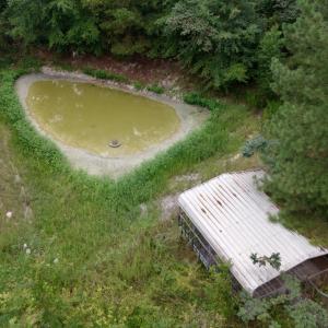 Photo #11 of 500 Glover, Warrenville, SC 11.4 acres