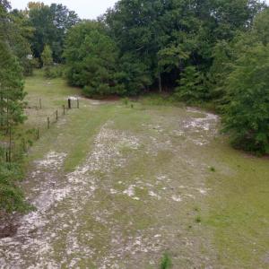 Photo #15 of 500 Glover, Warrenville, SC 11.4 acres