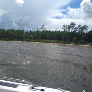 Photo #11 of 228 Hopkins Seafood, Belhaven, NC 2.0 acres