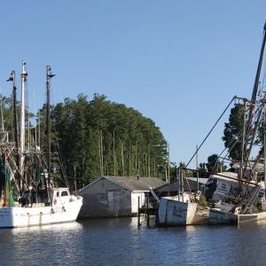 Photo #10 of 228 Hopkins Seafood, Belhaven, NC 2.0 acres