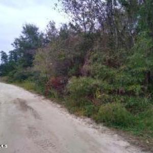 Photo #19 of 228 Hopkins Seafood, Belhaven, NC 2.0 acres