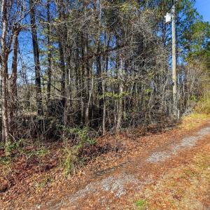 Photo #9 of 15460 Nc Highway 210, Rocky Point, NC 6.0 acres