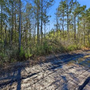 Photo #7 of 15460 Nc Highway 210, Rocky Point, NC 6.0 acres