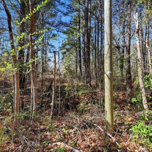 Photo #8 of 15460 Nc Highway 210, Rocky Point, NC 6.0 acres