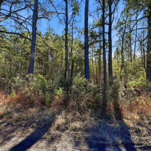 Photo #5 of 15460 Nc Highway 210, Rocky Point, NC 6.0 acres