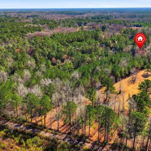 Photo #15 of 15460 Nc Highway 210, Rocky Point, NC 6.0 acres