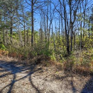 Photo #6 of 15460 Nc Highway 210, Rocky Point, NC 6.0 acres