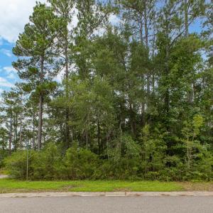 Photo #2 of 889 Pantego, Bolivia, NC 0.3 acres