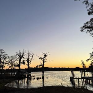 Photo #21 of 101 Lodge, Trent Woods, NC 3.3 acres