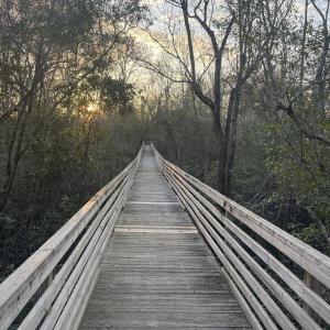 Photo #14 of 213 Lockhaven, Bolivia, NC 0.5 acres
