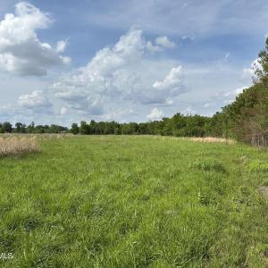 Photo #5 of Tract 2 Mcgirt, Maxton, NC 31.1 acres