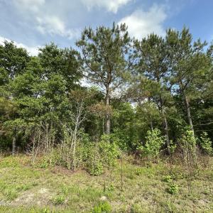 Photo #3 of Tract 2 Mcgirt, Maxton, NC 31.1 acres