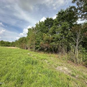 Photo #4 of Tract 2 Mcgirt, Maxton, NC 31.1 acres