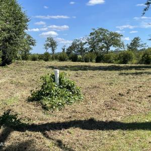 Photo #3 of 1218 Woods, Morehead City, NC 0.9 acres