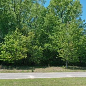 Photo #12 of 128 Maple, Whiteville, NC 0.7 acres
