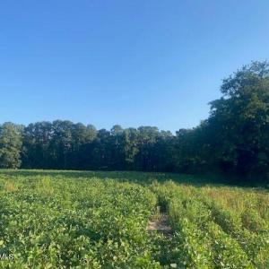 Photo #6 of Stott, Bailey, NC 13.3 acres