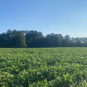 Photo #7 of Stott, Bailey, NC 13.3 acres