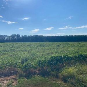 Photo #5 of Stott, Bailey, NC 13.3 acres