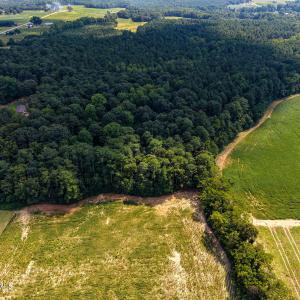 Photo #10 of Stott, Bailey, NC 13.3 acres