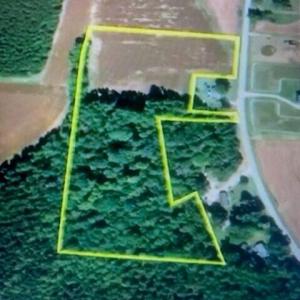 Photo #3 of Stott, Bailey, NC 13.3 acres