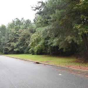 Photo #4 of Berkeley, Goldsboro, NC 3.7 acres