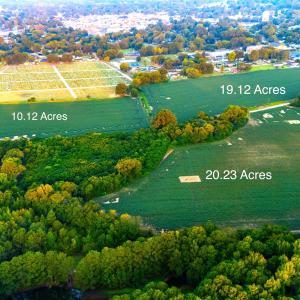 Photo #6 of Johnson East, Dunn, NC 49.5 acres