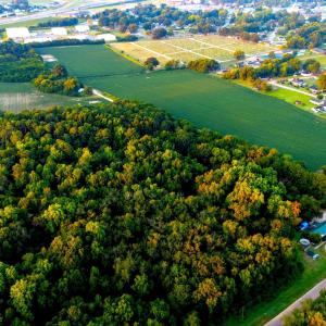 Photo #4 of Johnson East, Dunn, NC 49.5 acres