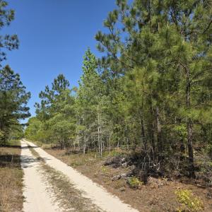 Photo #1 of 8a Briarwood, Williston, SC 8.0 acres