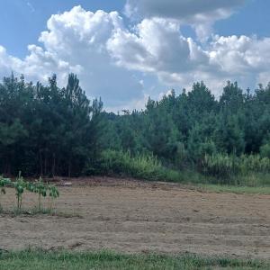 Photo #2 of 2 Taylors Gin Rd, Castalia, NC 10.6 acres