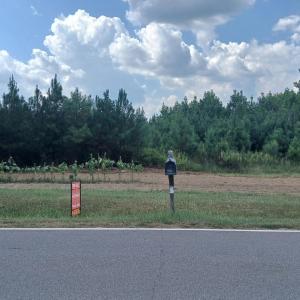 Photo #1 of 2 Taylors Gin Rd, Castalia, NC 10.6 acres