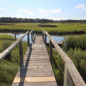 Photo #3 of 404 Madewood, Newport, NC 4.5 acres