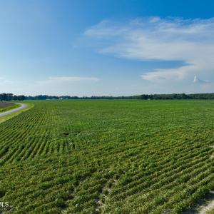 Photo #4 of Davis, Mount Olive, NC 178.9 acres